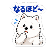 841693667