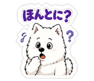 841693668