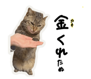 841693739