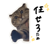 841693751