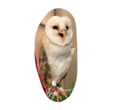 841694686