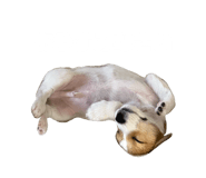 841695098