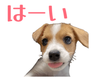 841695100