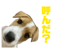 841695114