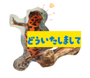 841695284