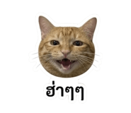 841695811
