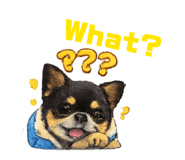 841696927