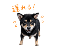 841698283