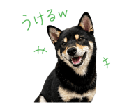 841698289