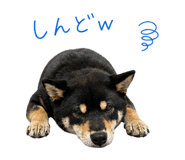841698293