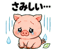 841698454