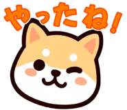 841698655