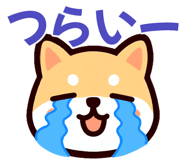 841698666