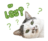 841698956