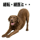 841699177