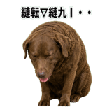 841699180