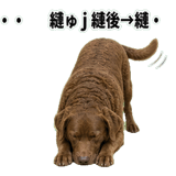 841699181