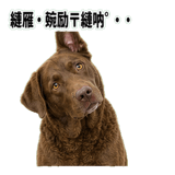 841699182