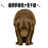 841699200