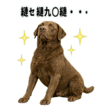 841699210