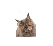 841699642