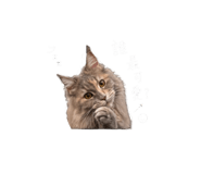 841699646