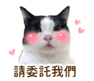 841699893