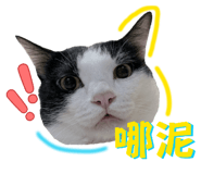 841699895
