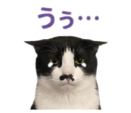 841701765