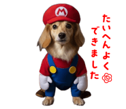 841702040