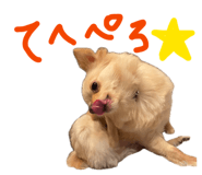 841702122