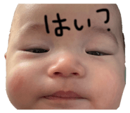 841702205