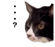 841702665