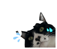 841702668