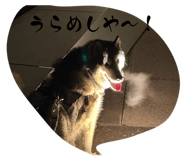 841702825