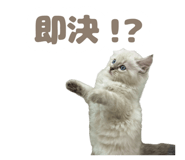 841703654