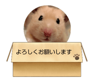 841703711