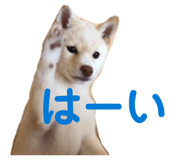 841703857