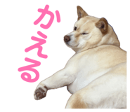 841703858