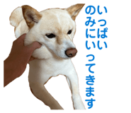 841703861