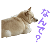 841703864