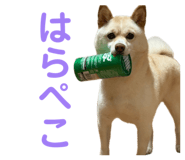 841703868