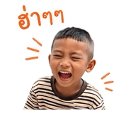 841704427