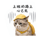 841706012