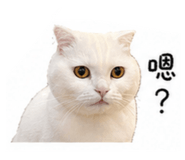 841706020