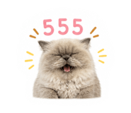 841706138