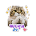 841706308