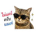 841706420