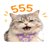 841706953