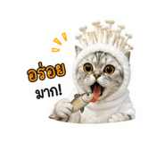 841707734